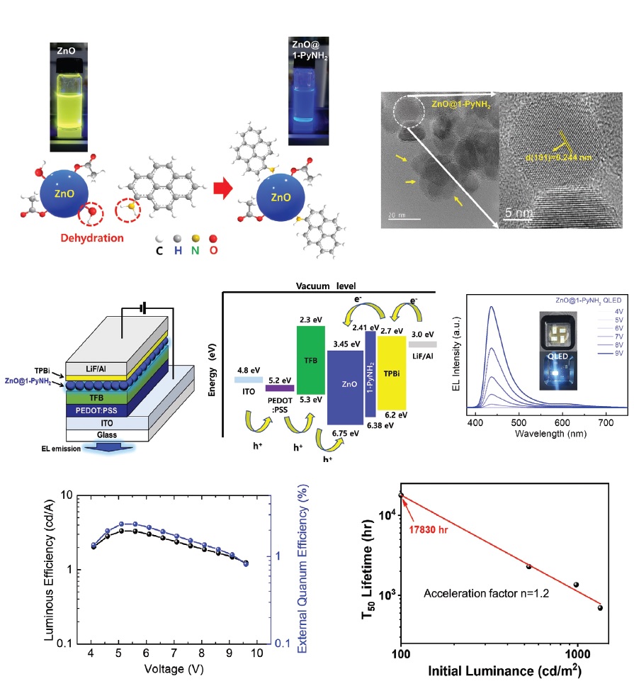 (168) H.H. Kim, S. Park, K.-J. Ko, S.-Y. Yim, J.-W. Kang, W.K. Choi* “Blue Light Emitting Diodes based on Bright Quasi-Type-II ZnO@1-Aminopyrene Hybrid Quantum Dots with a Long Operation Life” Adv. Opt. Mat. 10, 2200601 (2022). 대표이미지